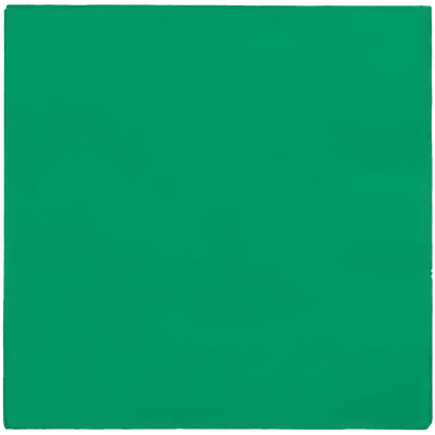 Christmas Green 2ply Dinner Napkins 25ct+