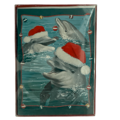 Dolphin Cards 15ct+
