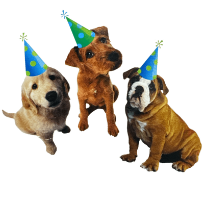 Puppy Party Cutouts 3ct+