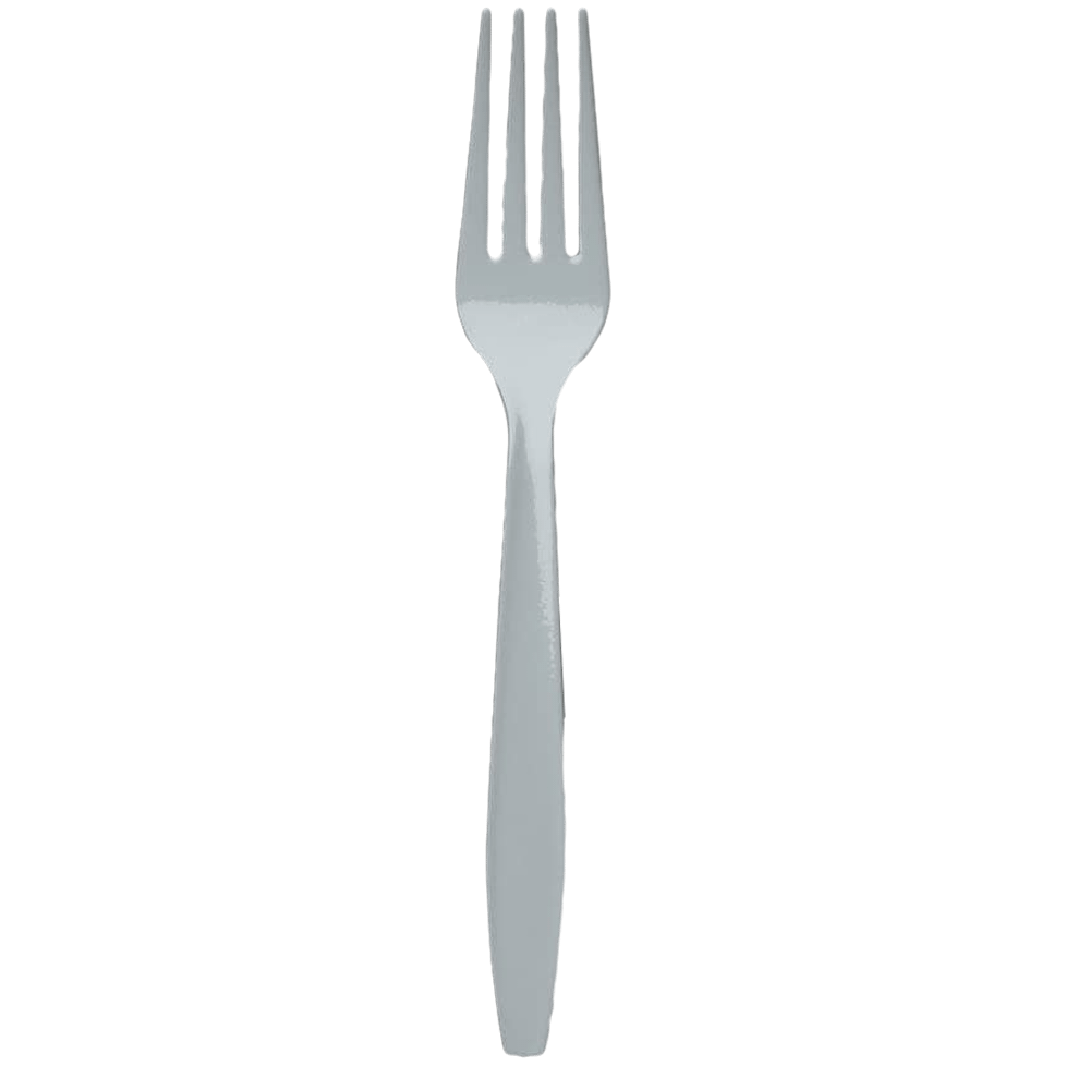 Shimmering Silver 24ct Forks+