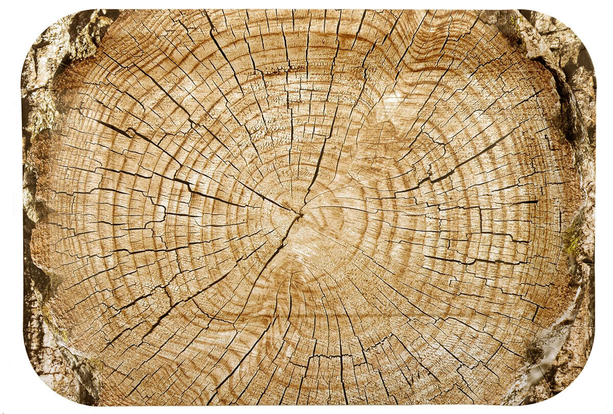 Cut Timber Rectangle Plate 4ct AMZ+