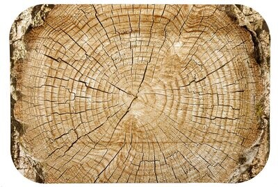 Cut Timber Rectangle Plate 4ct AMZ+