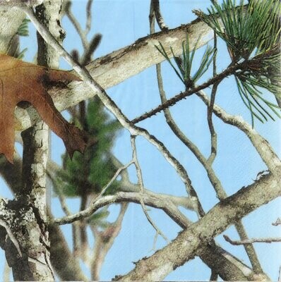 Blue Camo Beverage Napkins 16ct+