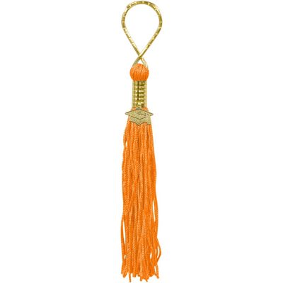 Orange Grad Tassel Key Chain AMZ+