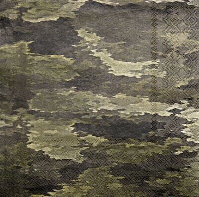 Military Camo Lunch Napkins 16ct AMZ+