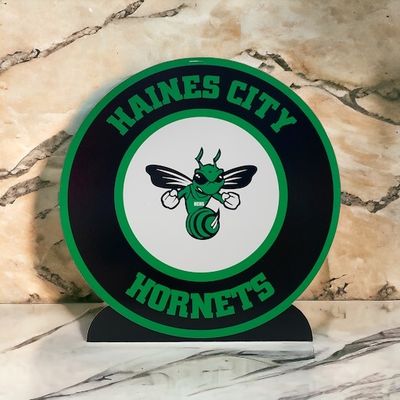 Polk County School Spirit Centerpieces+ Haines City