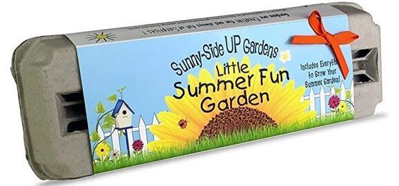 Little Summer Fund Garden Kit