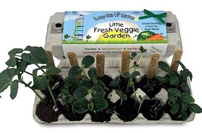 Fresh Veggie Garden Kit