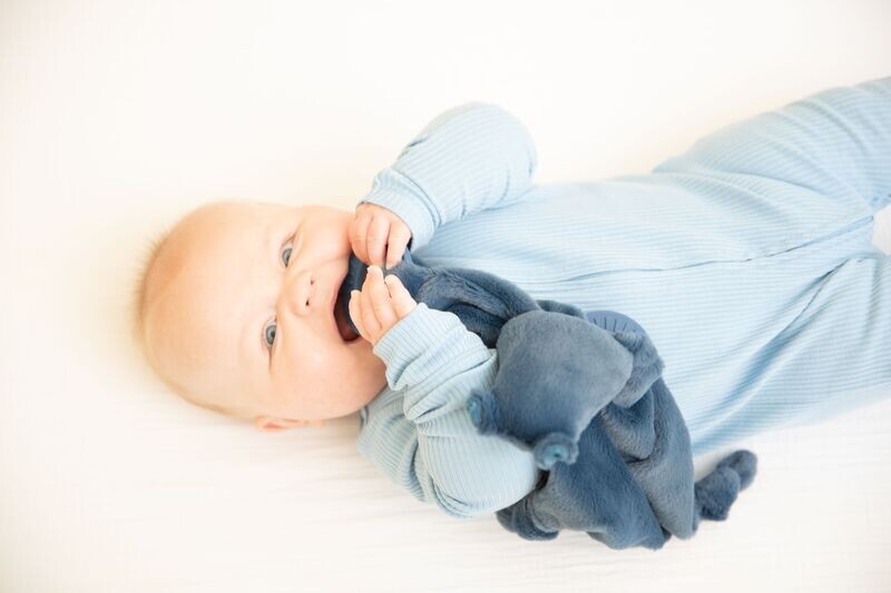 Bella Tunno Hippo Teether Buddy