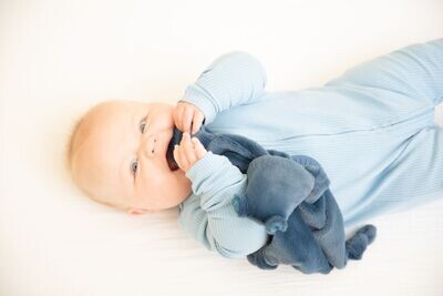 Bella Tunno Hippo Teether Buddy