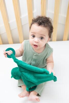 Bella Tunno Dino Teether Buddy