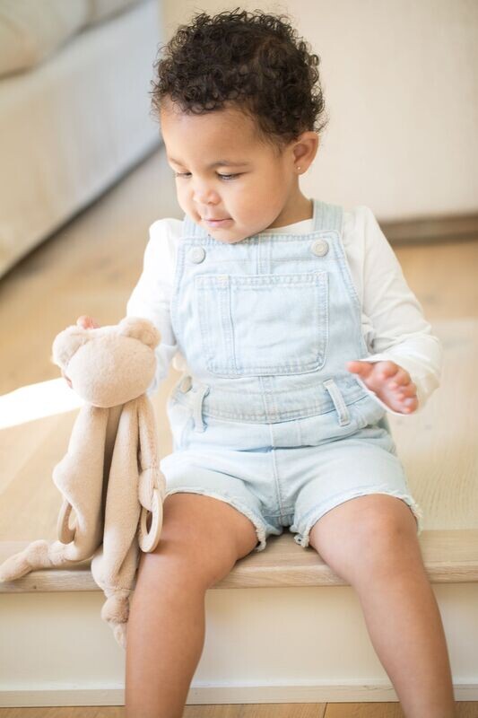Bella Tunno Bear Teether Buddy