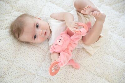 Bella Tunno Pig Teether Buddy