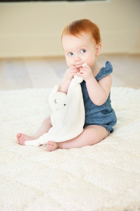 Bella Tunno Lamb Teether Buddy