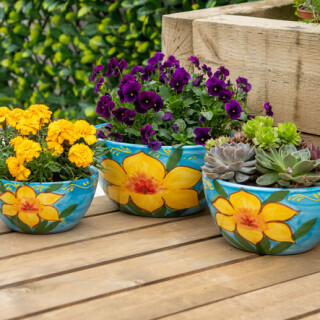 DAFFODILL Planter Bowls