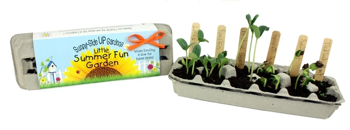 Little Summer Fund Garden Kit