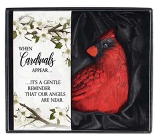 GIFT BXD CARDINAL-CARDINALS AP