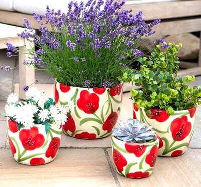 POPPY Cylinder Pot, Size: 5.5 Inch