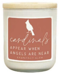 Cardinals Appear Candle - Grapefruit