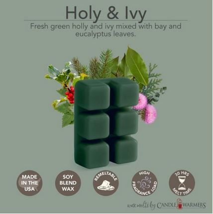 Holly &amp; Ivy 2.5oz Wax Melt