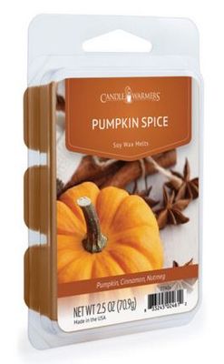 Pumpkin Spice  2.5oz Wax Melt