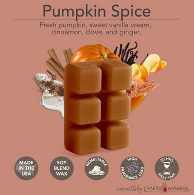 Pumpkin Spice  2.5oz Wax Melt