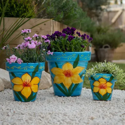 DAFFODIL Standard Planter