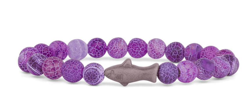 Voyage Bracelet - Shark
