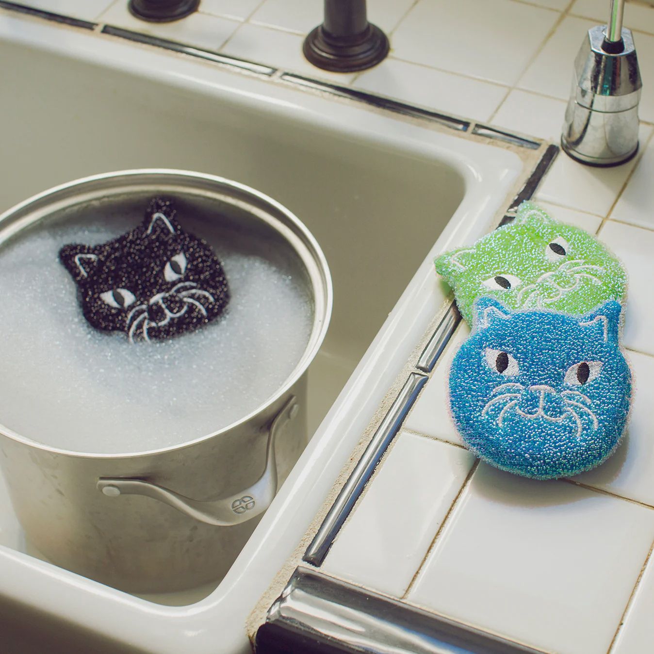 CAT SPONGES