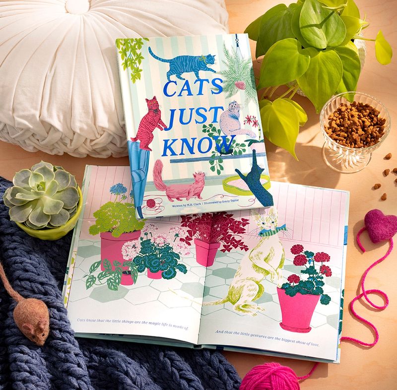 Book: Cats Just Know