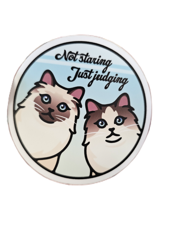 Sticker: Not Staring Just Judging