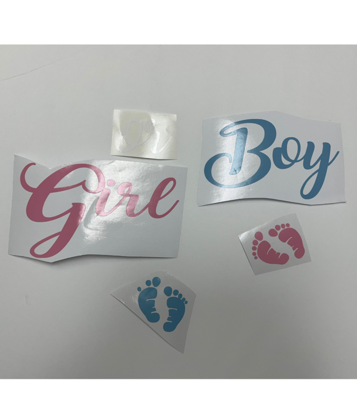 Gender Reveal Vinyl