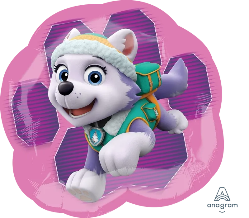 25" Sky & Everest Paw