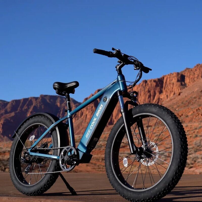 Electric Bike Rental