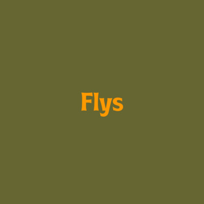 Flys