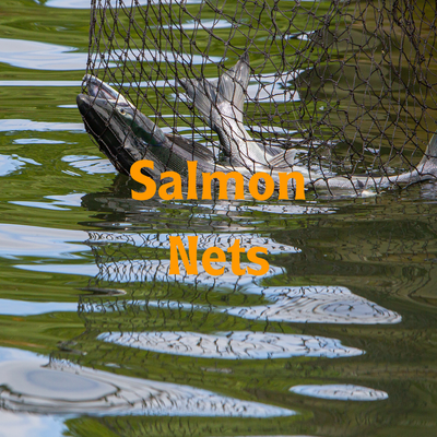 Salmon Nets