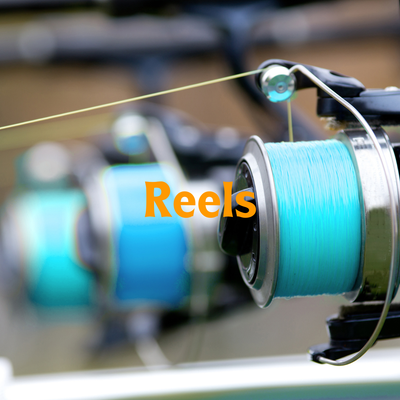 Reels