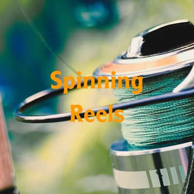 Spinning Reels
