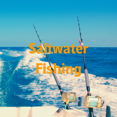 Saltwater Fishing