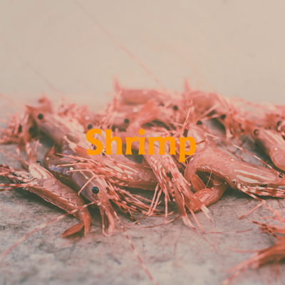 Shrimp