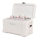 Igloo 50447 Marine Profile II 50 White
