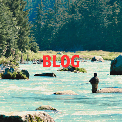 Blog