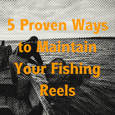 5 Proven Ways to Maintain Your Fishing Reels for Long-Lasting Performance