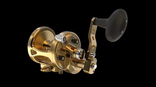 Avet Reels MXL 6/4 G2NGP RH-GD G2 Series MXL 6/4 RH (Gold), One Size