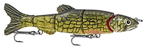 Matzuo Mz Doragon 6&quot; Golden Shiner Fishing Products