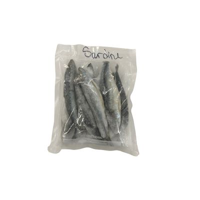 Sardines Frozen Bait 1lb - Tray