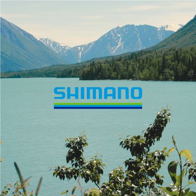 Shimano
