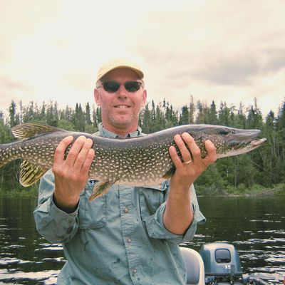 Northern Pike
