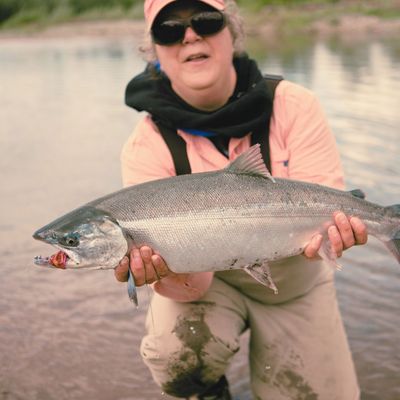 Silver - Coho - Steelhead
