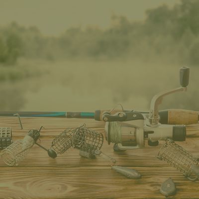 Shop Bait Accessories